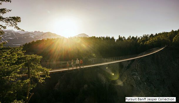 Golden Skybridge